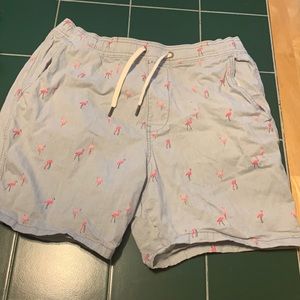 Hollister men’s shorts